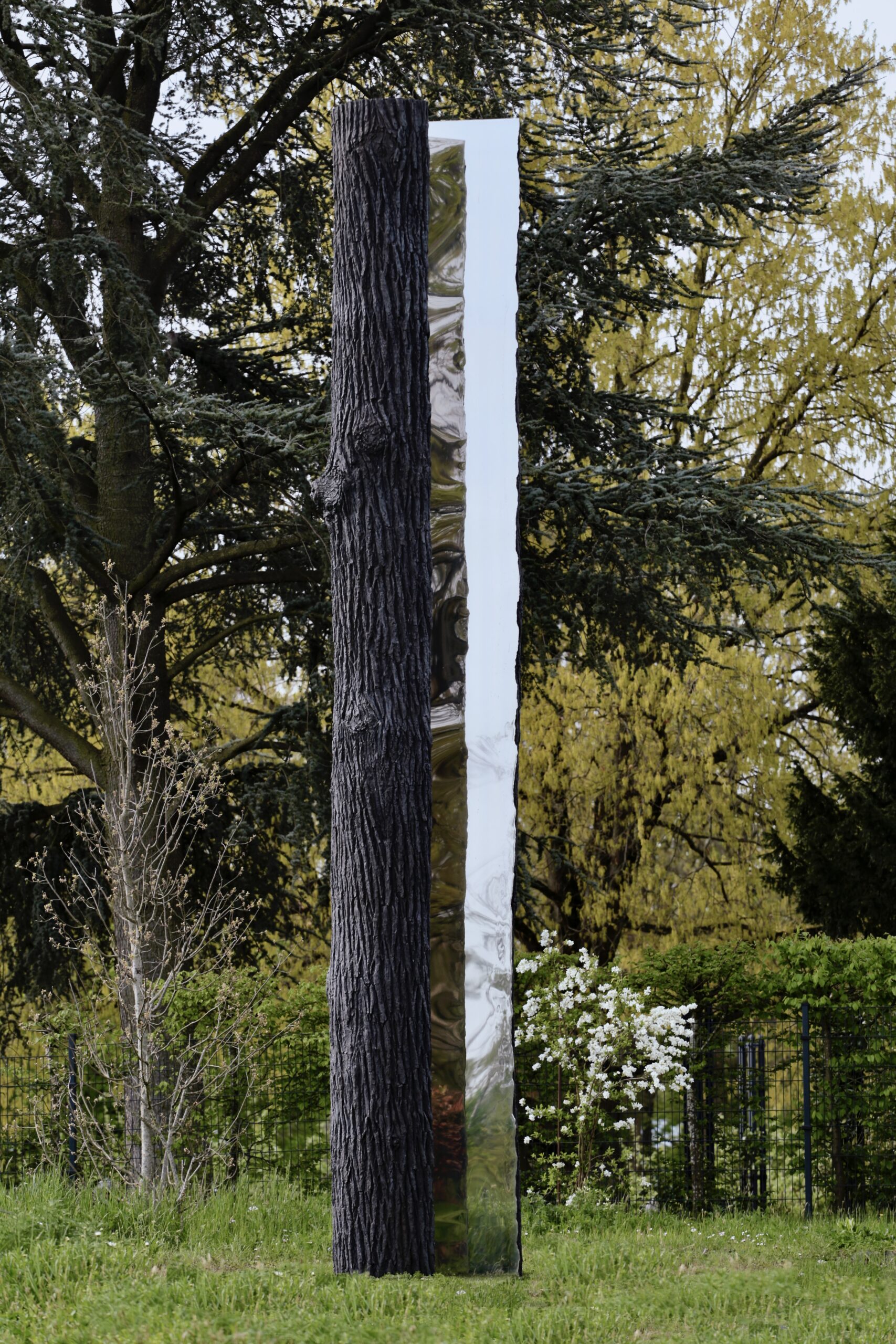 Vera Röhm "Spiegelbaum"