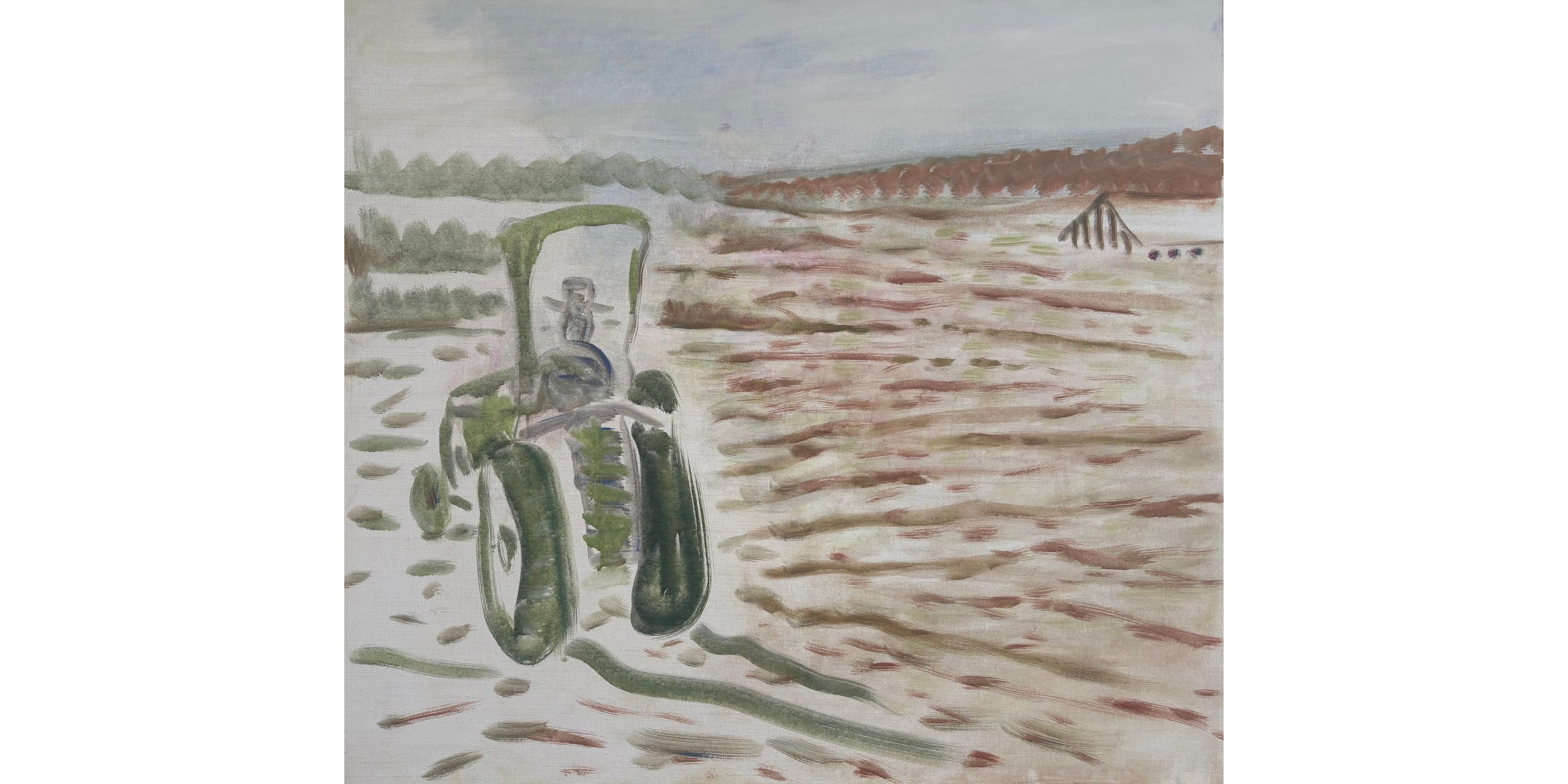 Siegfried Anzinger | Bauernland